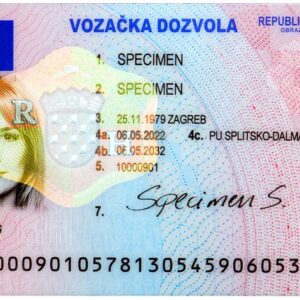 German driver license