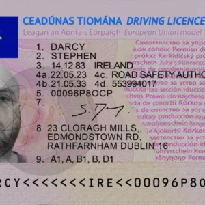 Irish driver license