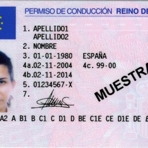Spanish driver license